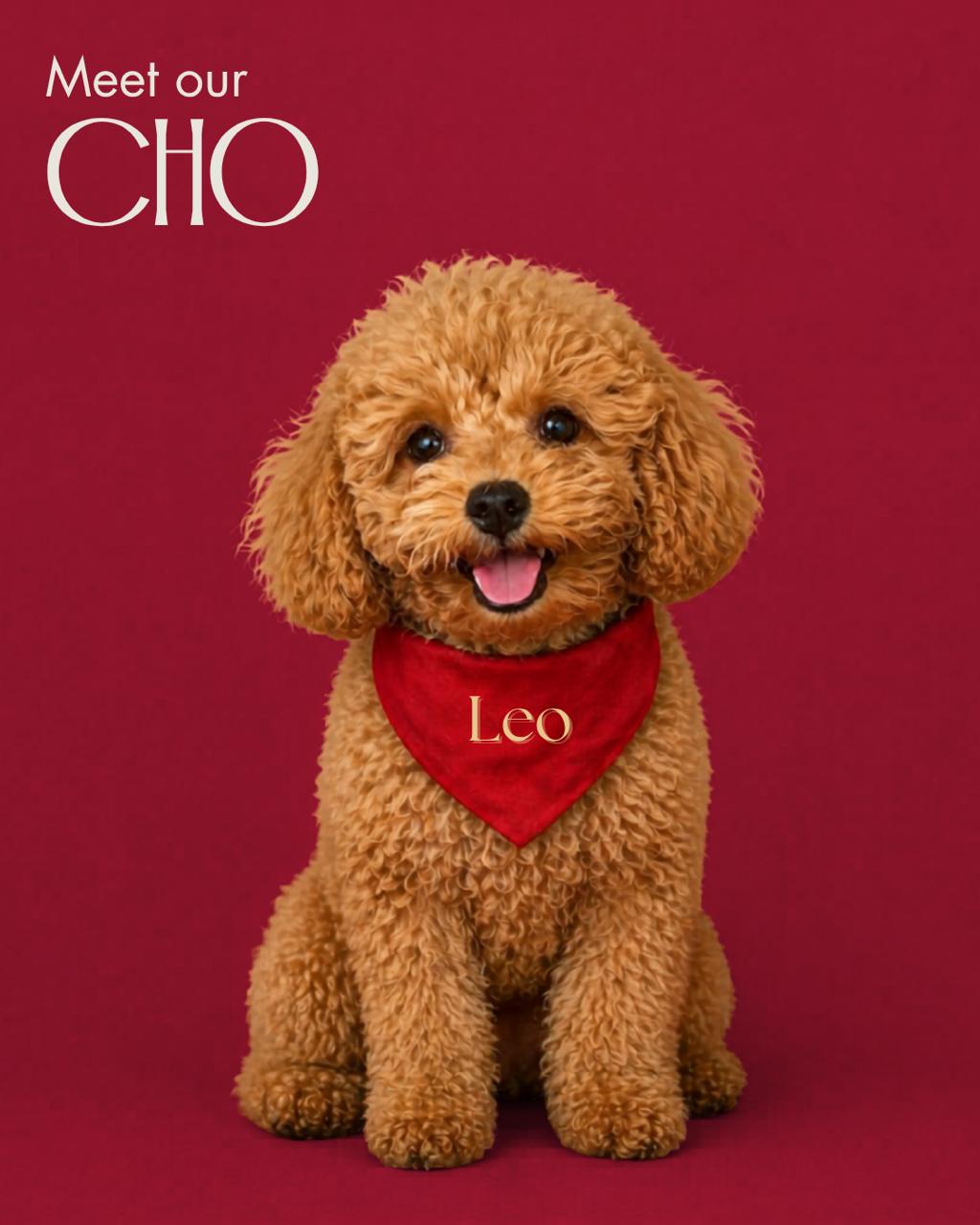 Leo